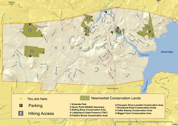 Newmarket comservation land map image