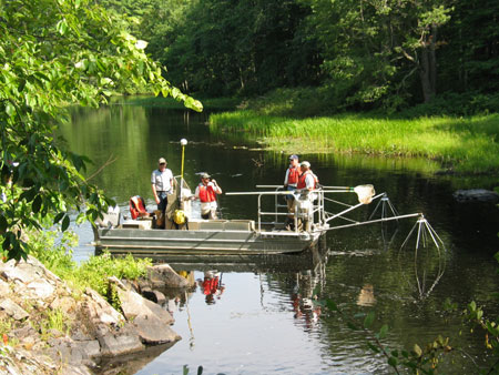 Researchers electroshock fish in deeper water. Photo by Dick Lord. Researchers electroshock fish in deeper water. Photo by Dick Lord.