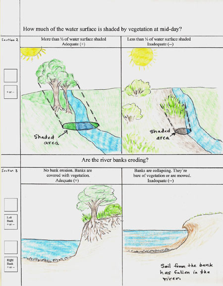 streamwalk-shade-and-erosion  illustration by Debbie McNelly