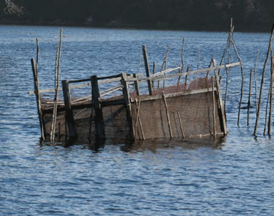 Fish Weir off Schanda Park, Photo by Joanne Trahan