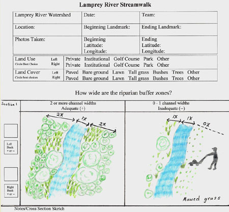 streamwalk-buffers illustration by Debbie McNelly