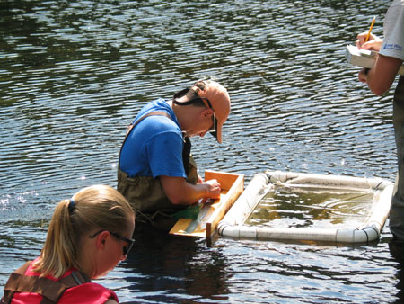 Each fish is identified and measured. Photo by Dick Lord. 