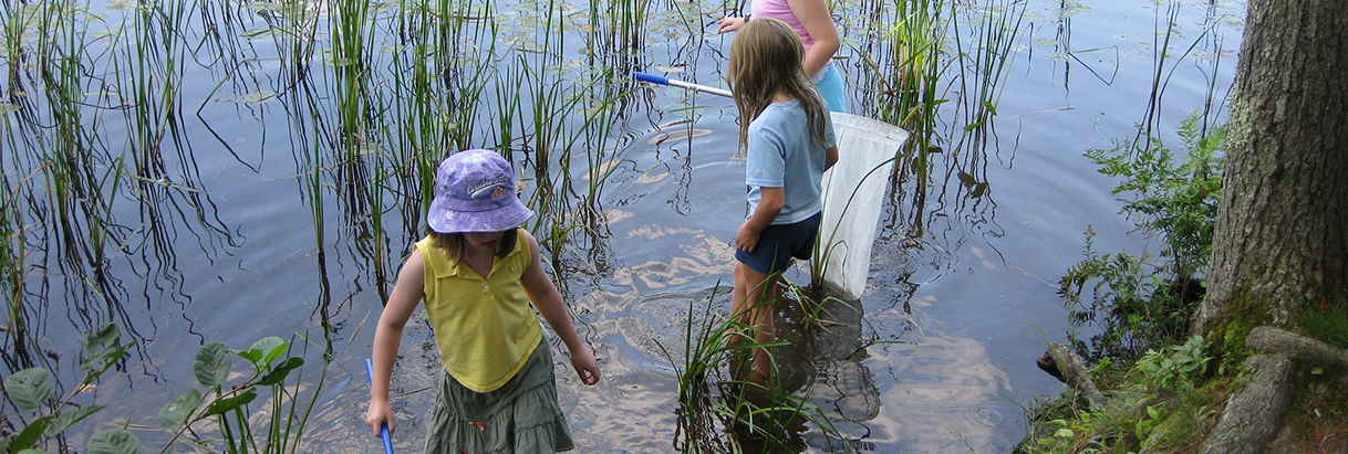 dragonfly trip on the Lamprey River, by RC Grimsley