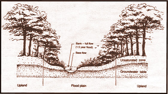 river-corridor-cross-sectio.jpg