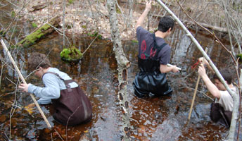 students explore a vernal pool - photo by Jon Bromley