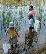 Young dragonfly hunters. photo by RC Grimsley