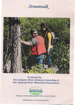 Streamwalk DVD Cover Streamwalk DVD Cover